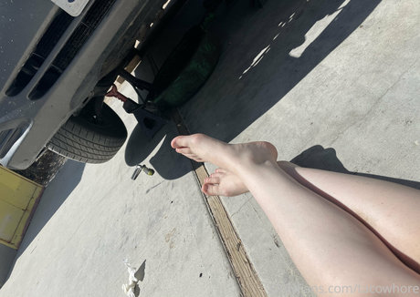 tacowhore ポルノモデル 画像