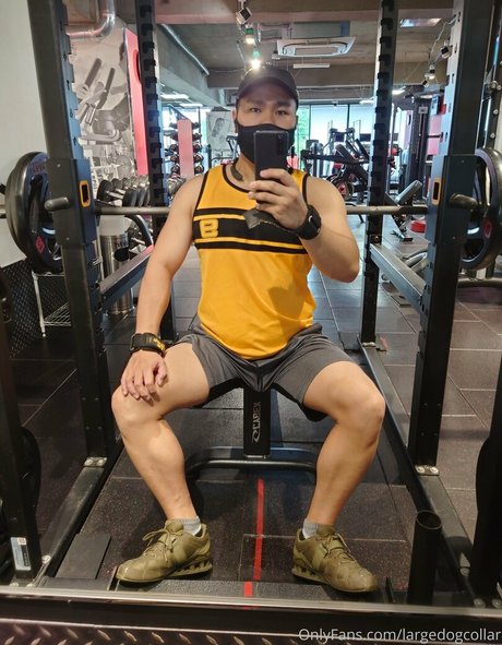 largedogcollar セックススター 画像