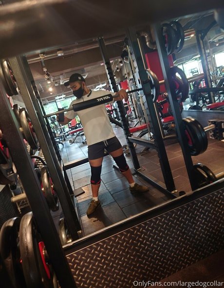 ポケモン オンリーファン 美しい裸 アーカイブ