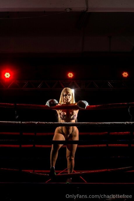 Soyviking 美しいスター 画像