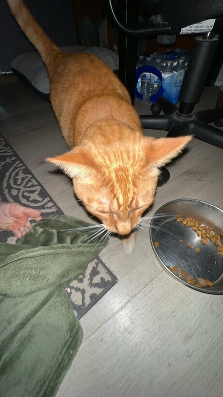 Liilwitch ヌードモデル ギャラリー