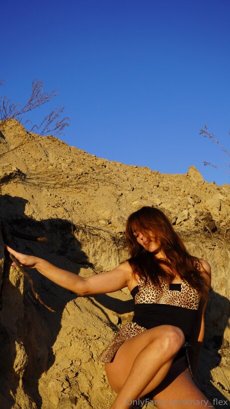 Mary Flex 無料のポルノスター 写真