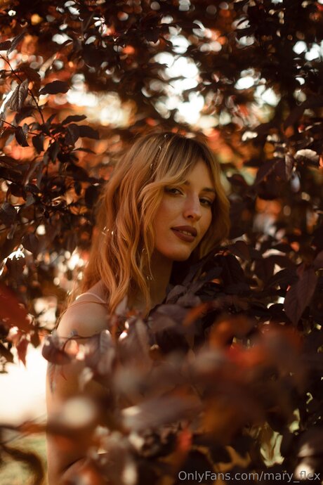 Mary Flex トップスター 写真