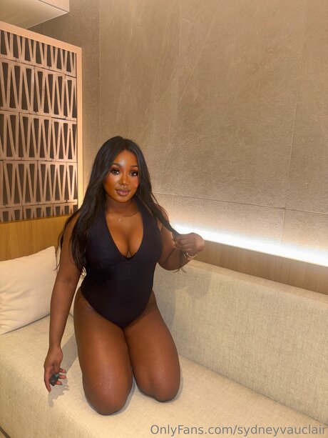 Sydneyvauclair ポルノスター 美しい ギャラリー