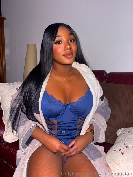 Sydneyvauclair 美しいポルノスター 画像