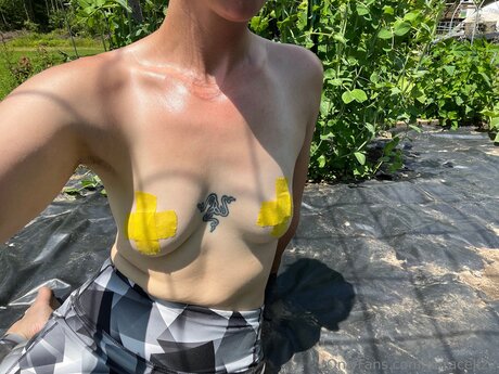 Duracell22 最高のポルノスター ギャラリー