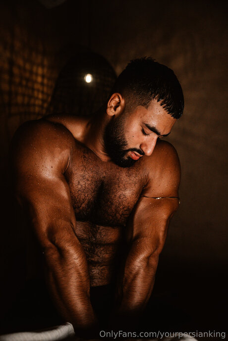 Yourpersianking 高品質モデル 写真