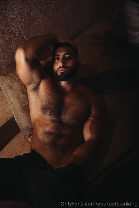 Yourpersianking ヌードスター ギャラリー