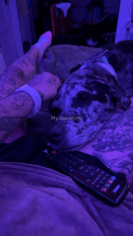 Lovebug911 高品質女優 アーカイブ