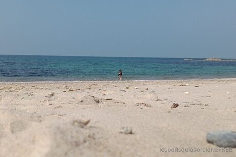 Poilsdesorcier Efree セックス女優 写真