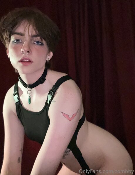 Zombby 完璧なスター ギャラリー