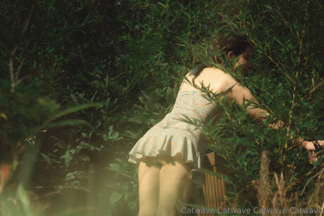 Catwave ポルノスター xxx 写真