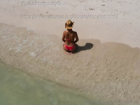 Jojohumphrey 最高のスター アーカイブ