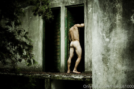 Marcus1000 ポルノ女優 ギャラリー