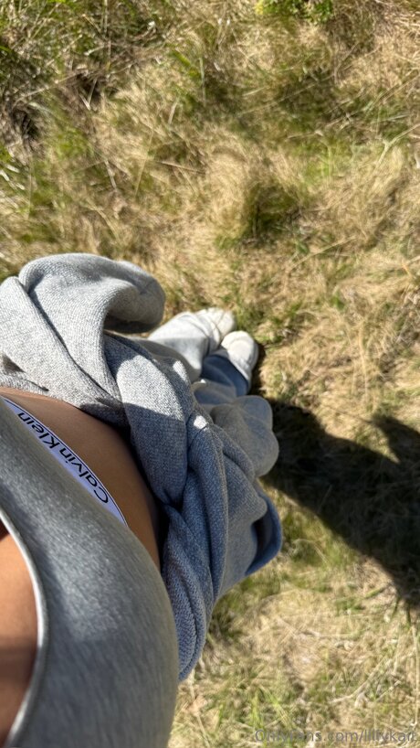 Lillykait 高品質スター 画像