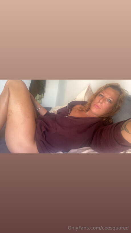 Ceesquared HDモデル 画像