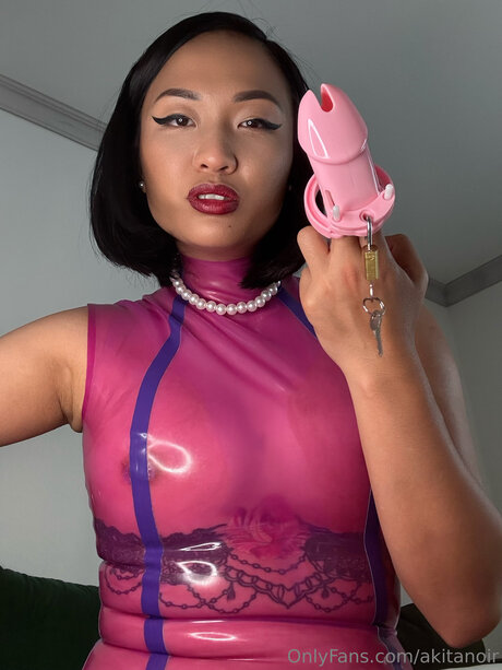 Akitanoire アートポルノスター アーカイブ