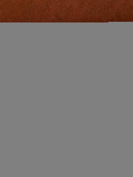 フェムボーイアジアンOnlyFans エロチック 画像