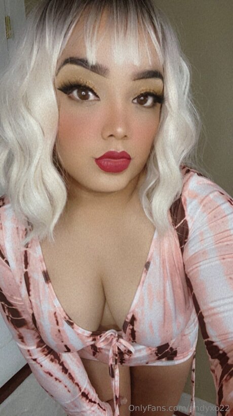 Andyxo22 独占女優 画像