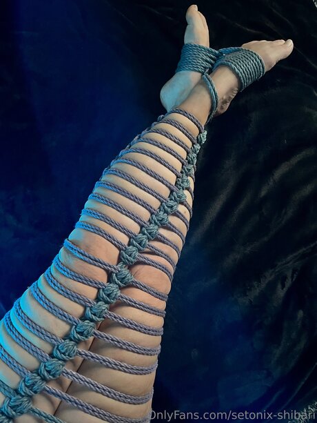 Setonix Shibari スターセックス 写真