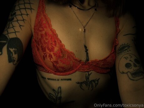 Toxicsonya ポルノスター ベスト 写真