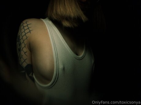 Toxicsonya HDポルノスター 写真