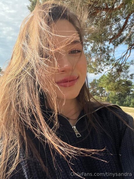 Tinysandra HDモデル ギャラリー