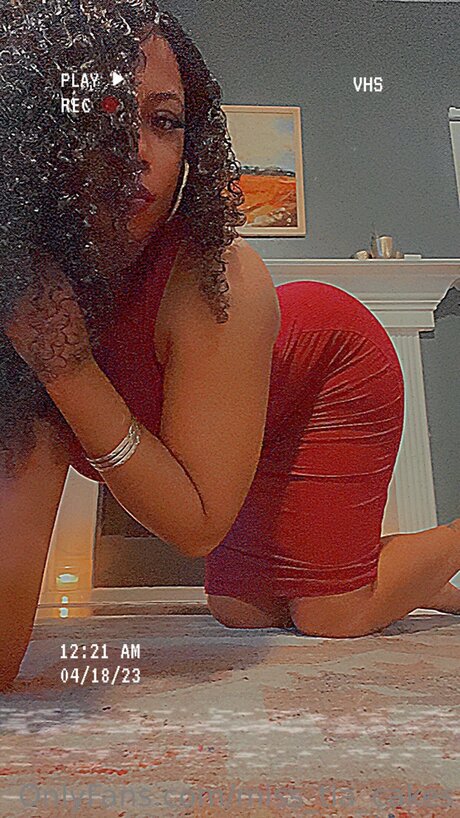 ゲイランジェリーOnlyFans セクシー 写真