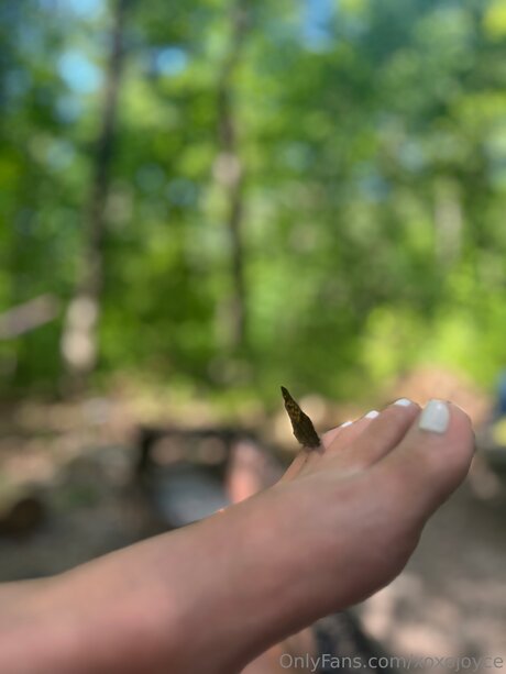 Xoxojoyce エロティックなスター 写真