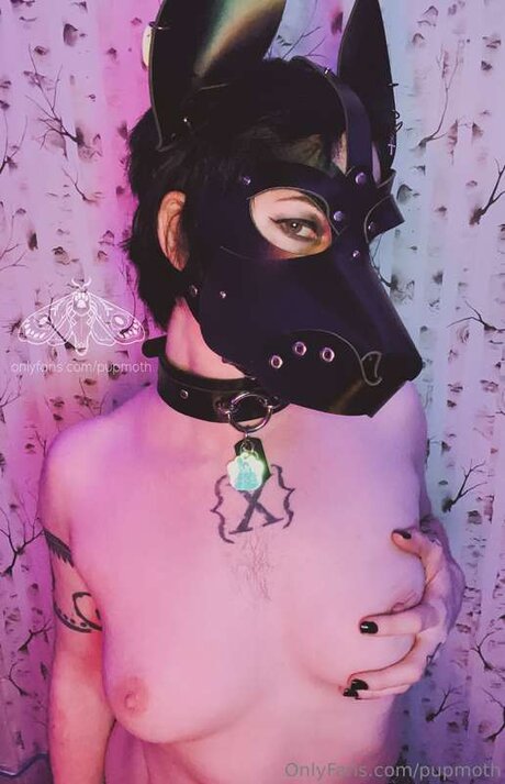 アマチュアトランスオンリーファン ホットセックス 写真