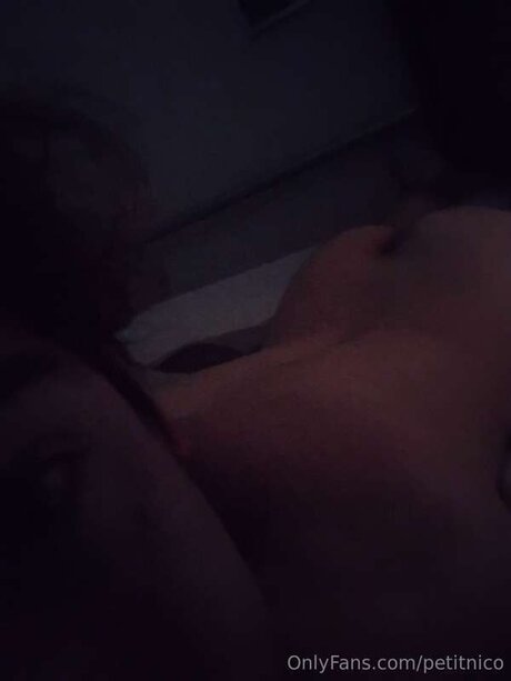 Petitnico トップモデル 写真