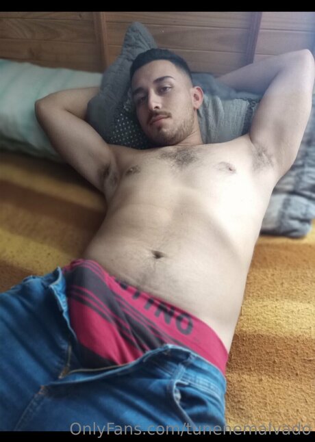 Tunenemalvado アートモデル 写真