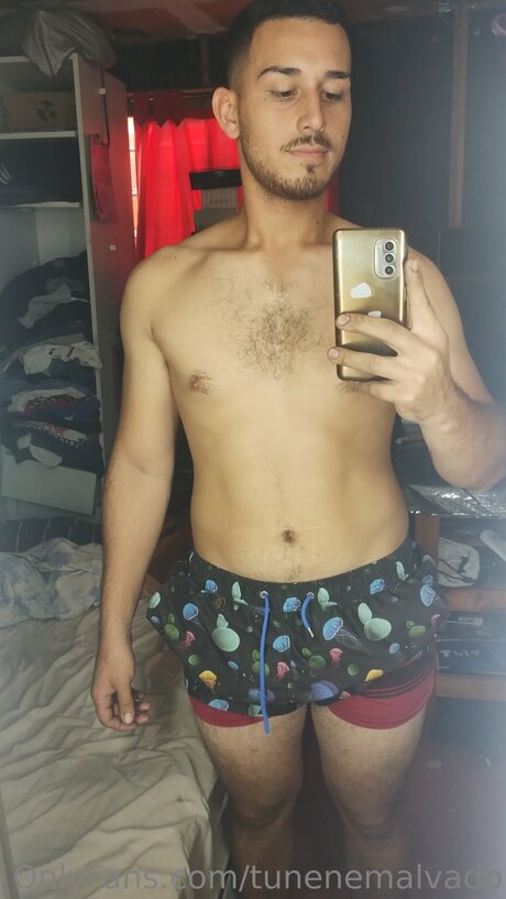 Tunenemalvado ポルノ女優 写真