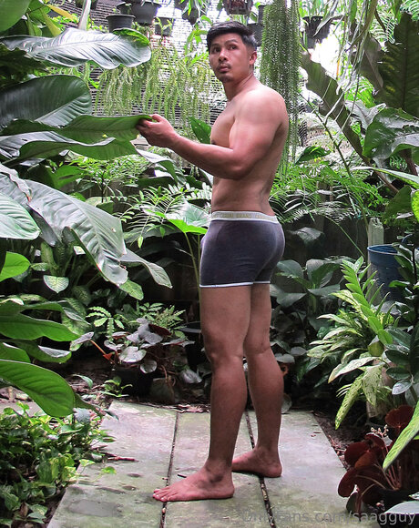 Saagguy ポルノスター 写真