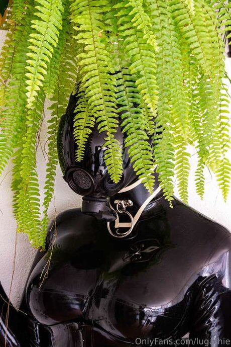 Lugathie 高品質スター 写真