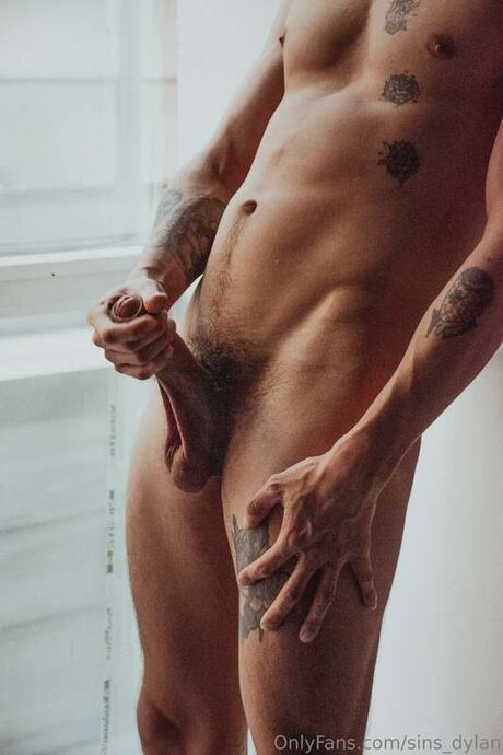 Sins Dylan 完璧な女優 画像