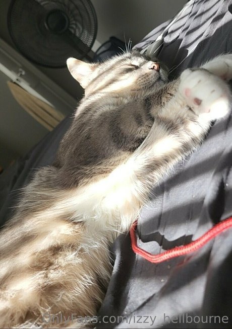 izzy hellbourne スター 裸 画像