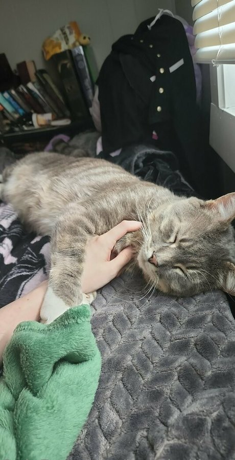 izzy hellbourne セックスモデル 写真