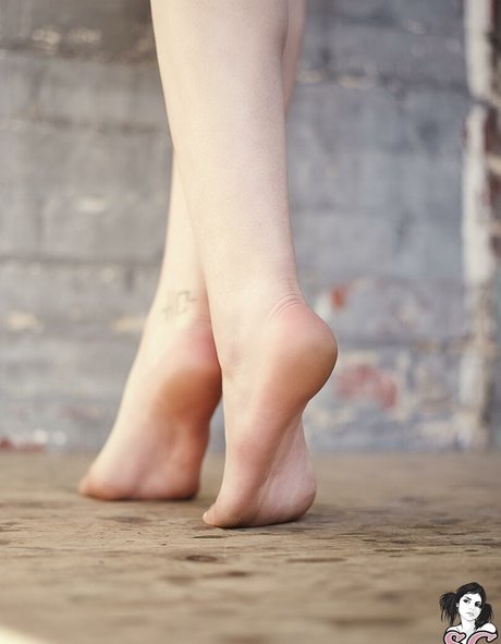 Fennek xxxスター 画像