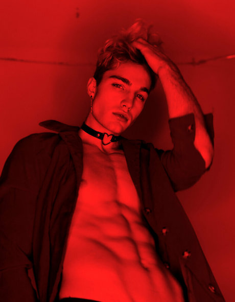 hazel hoffman 完璧なスター 画像