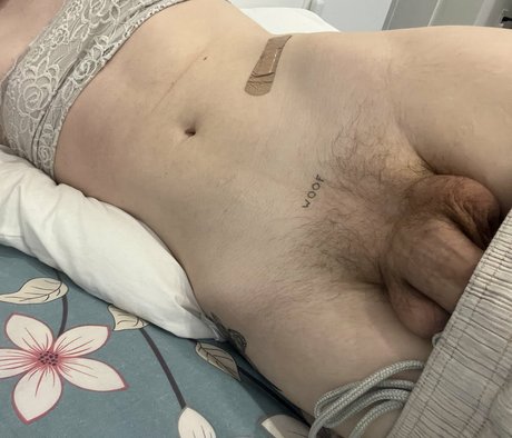 wifemoder 素敵なポルノスター 写真