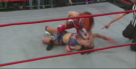 Mickie James スター 裸 写真