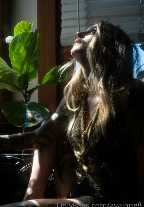 avajane8 HDポルノスター 画像