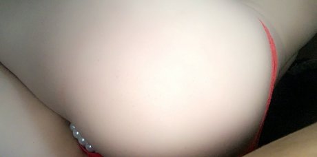 Newfoundland ホットモデル 写真