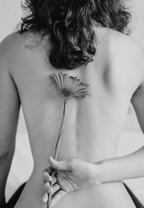 ガレガオンリーファンズ 無料 画像