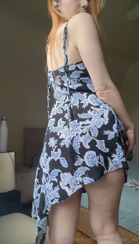 Sleepykitten Free アートスター 写真