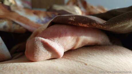 Janhusnik セクシーモデル 写真