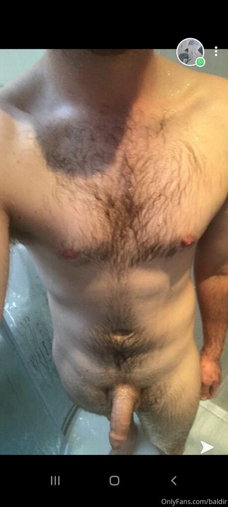 Baldir ポルノスター 写真