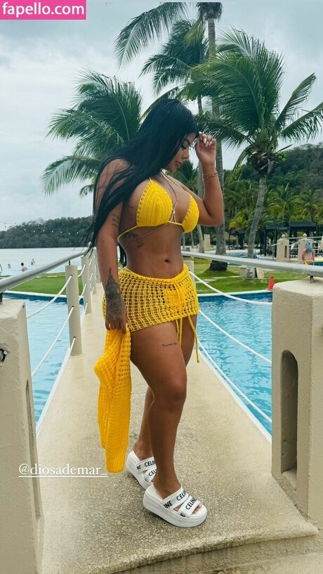 Anisa Bedoya アートスター 画像