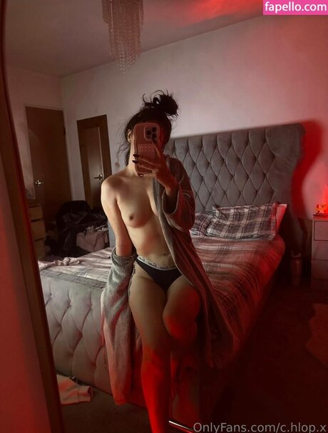 c hlop x アートポルノスター ギャラリー